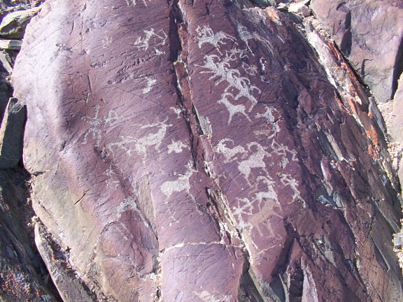 wildlife, ibex, hunting scenes as ancient rock art, Westren Mongolia