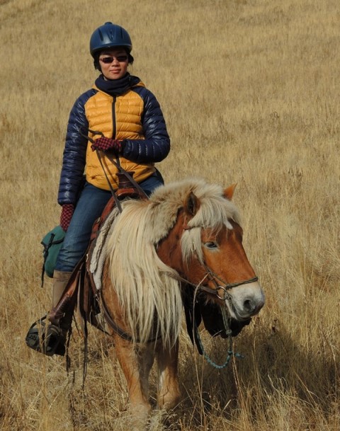 Mongolia Horse Riding, Mongolia Horse Trekking, Horseback Tours, Mongolia, Mongolia horse riding steppe