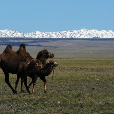 Gobi Gurvan Saikhan National Park, Mongolia