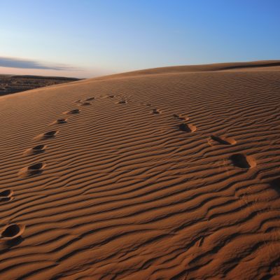 Sand dunes, gobi desert, Moltsog Els, Mongolia