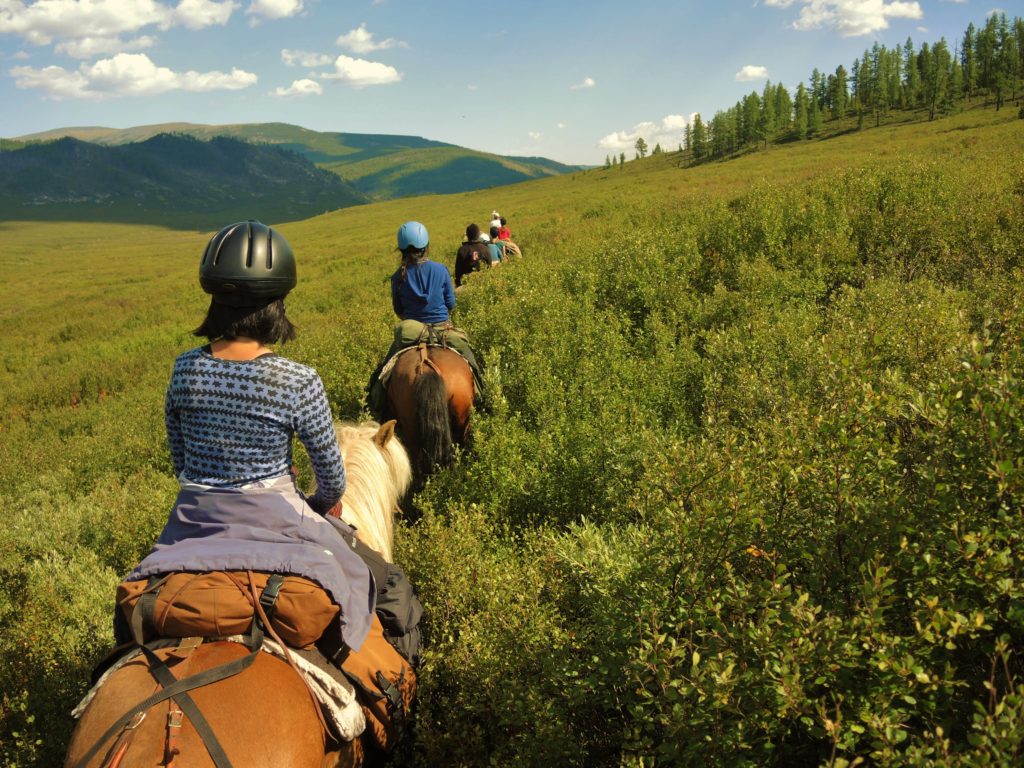 Discover the Heart of Mongolia's Wilderness, Stone Horse Mongolia