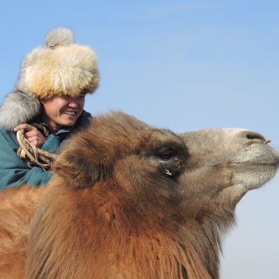 Camel Festival in Mongolia's Gobi