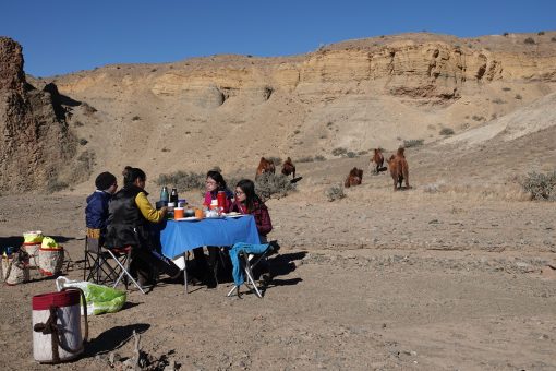 Gobi Crossing, Camel trekking, picnic with Stonehorse Expeditions