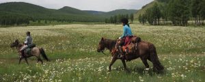 Horse Riding in Mongolia with Covid-19 precautions